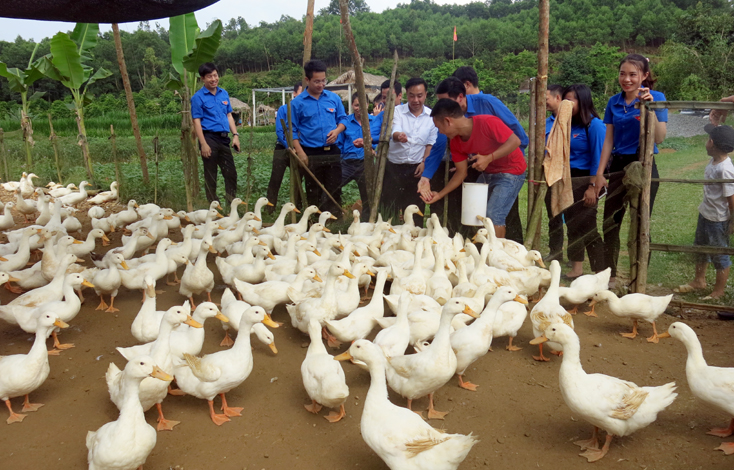 Mô hình du lịch cộng đồng của thanh niên xã Hưng Trạch phát huy hiệu quả.