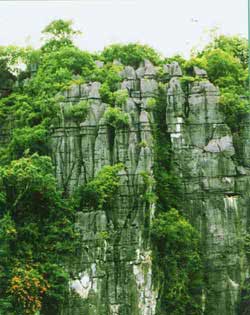 Tháp Karst ở Phong Nha - Kẻ Bàng